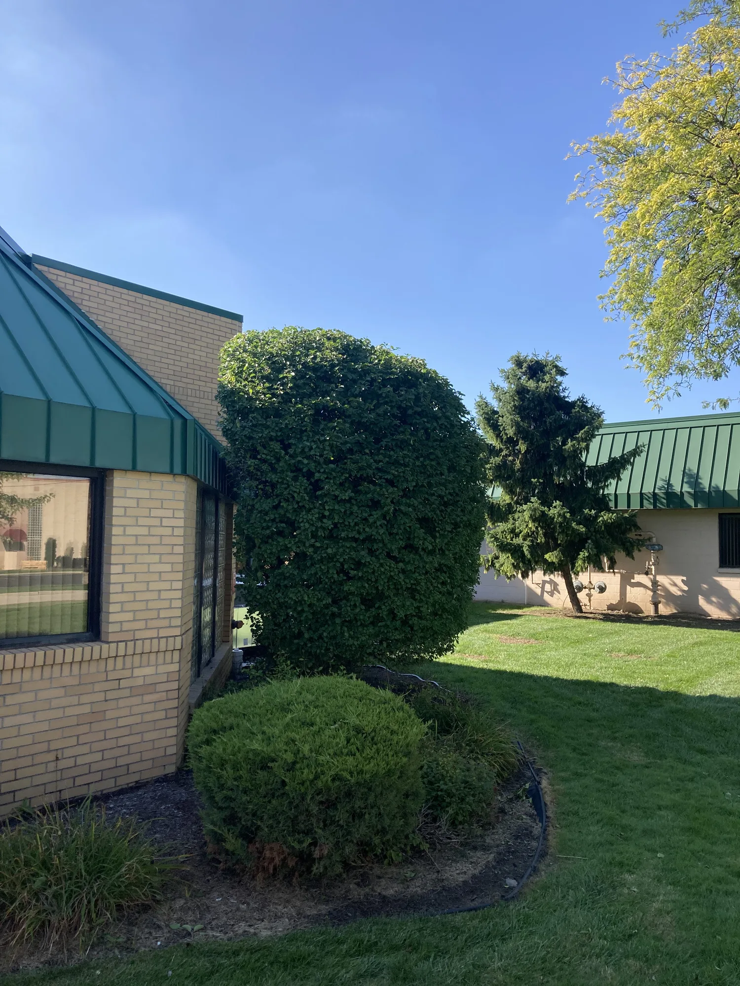 Ornamental Tree, Shrub & Bush Pruning by Kerekes Landscape in Sylvania and Toledo